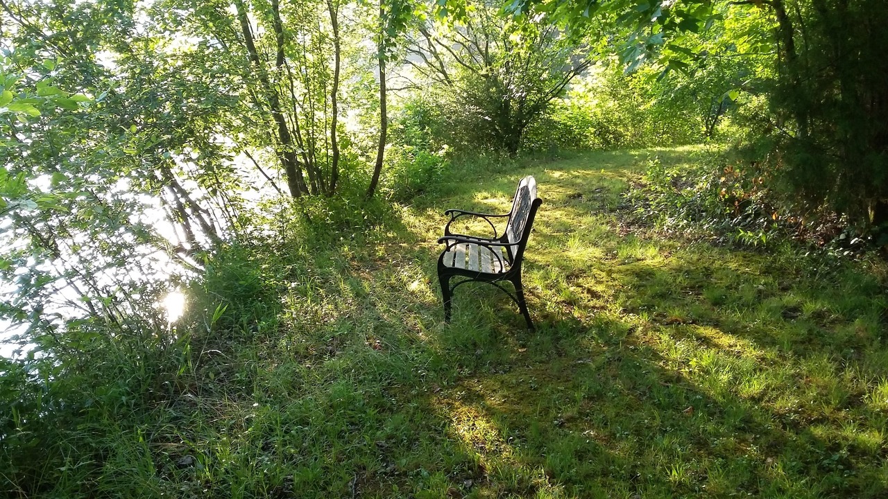 Photo of Outdoor in Chelsea