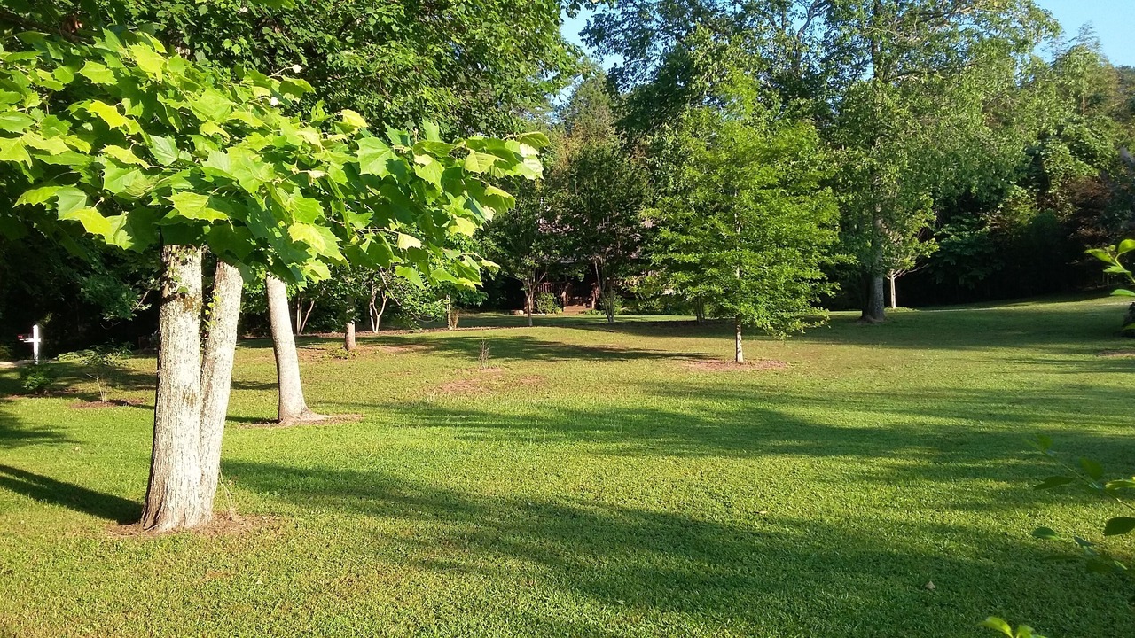 Photo of Outdoor in Chelsea