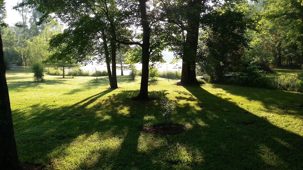 Photo of Outdoor in Chelsea