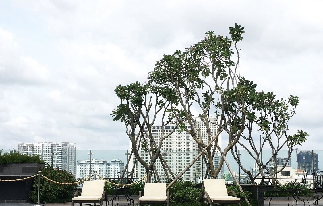 Photo of Outdoor in Bach Dang Riverside