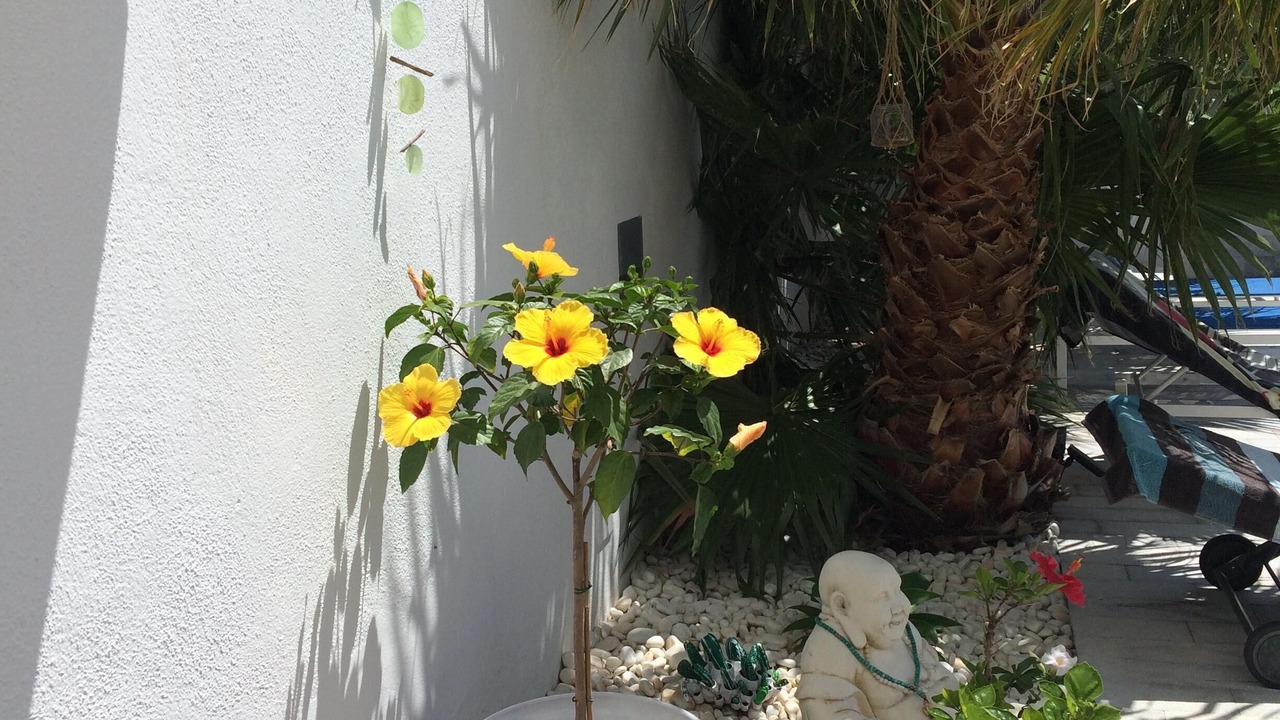 Photo of Outdoor in Las Negras