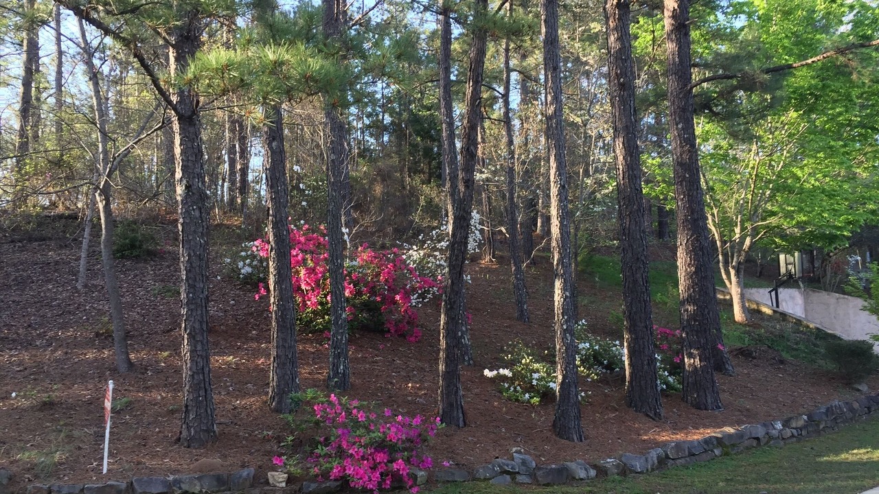 Photo of Outdoor in Duncanville