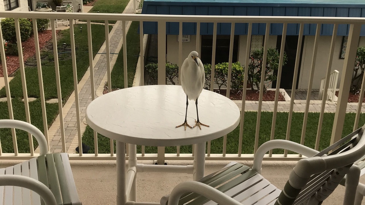 Photo of Patio Balcony in New Smyrna Beach