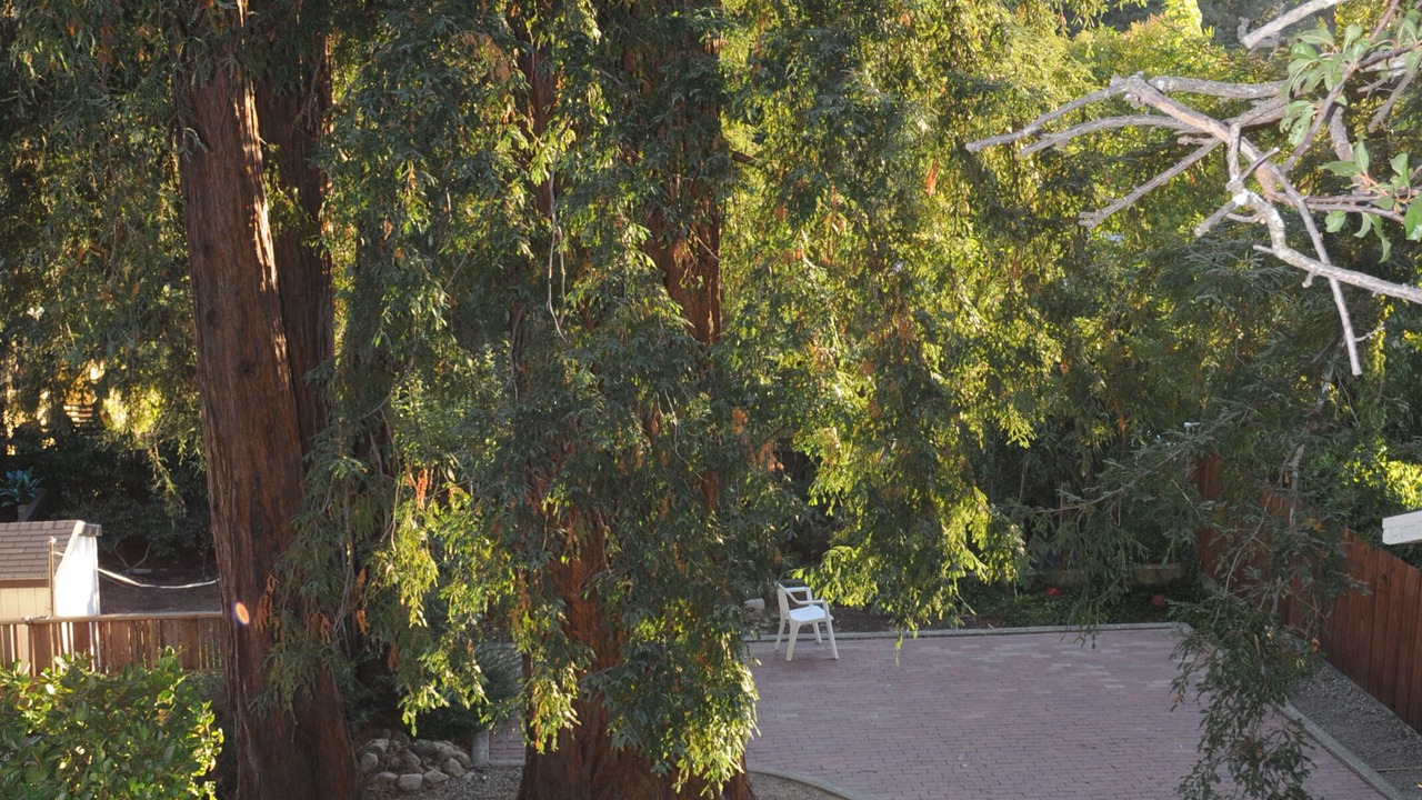 Photo of Others in Greenbrae