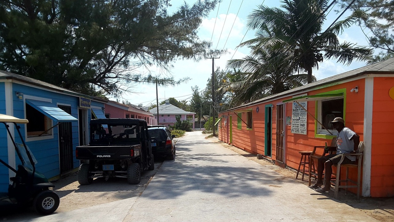 Photo of Others in Alice Town