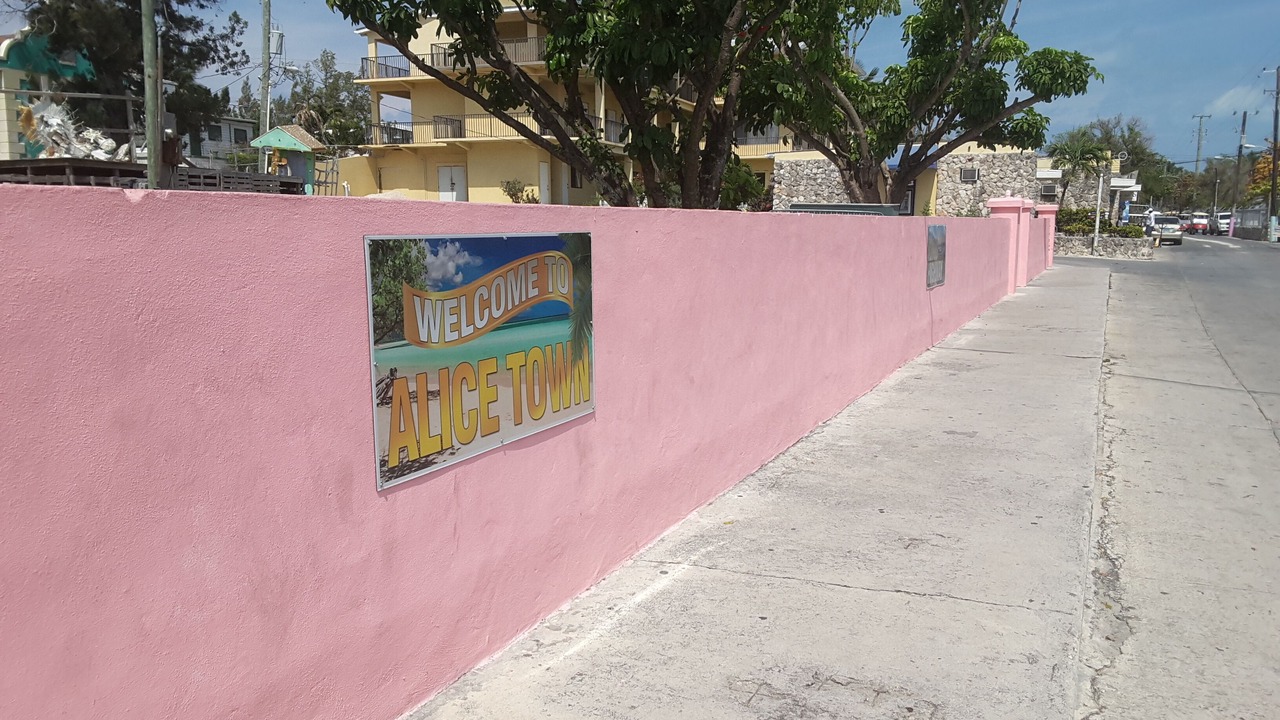Photo of Others in Alice Town