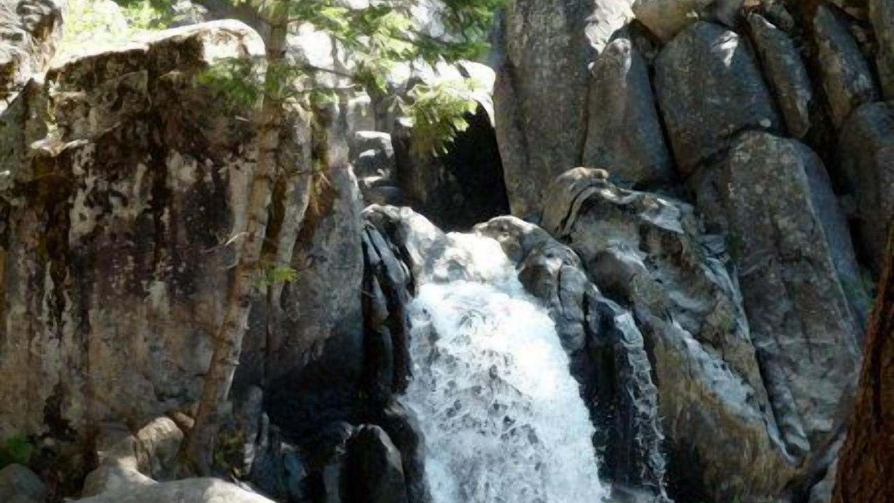 Photo of Others in North Wawona