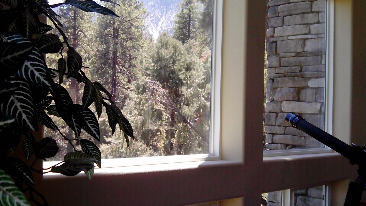 Photo of Others in Pine Mountain Club