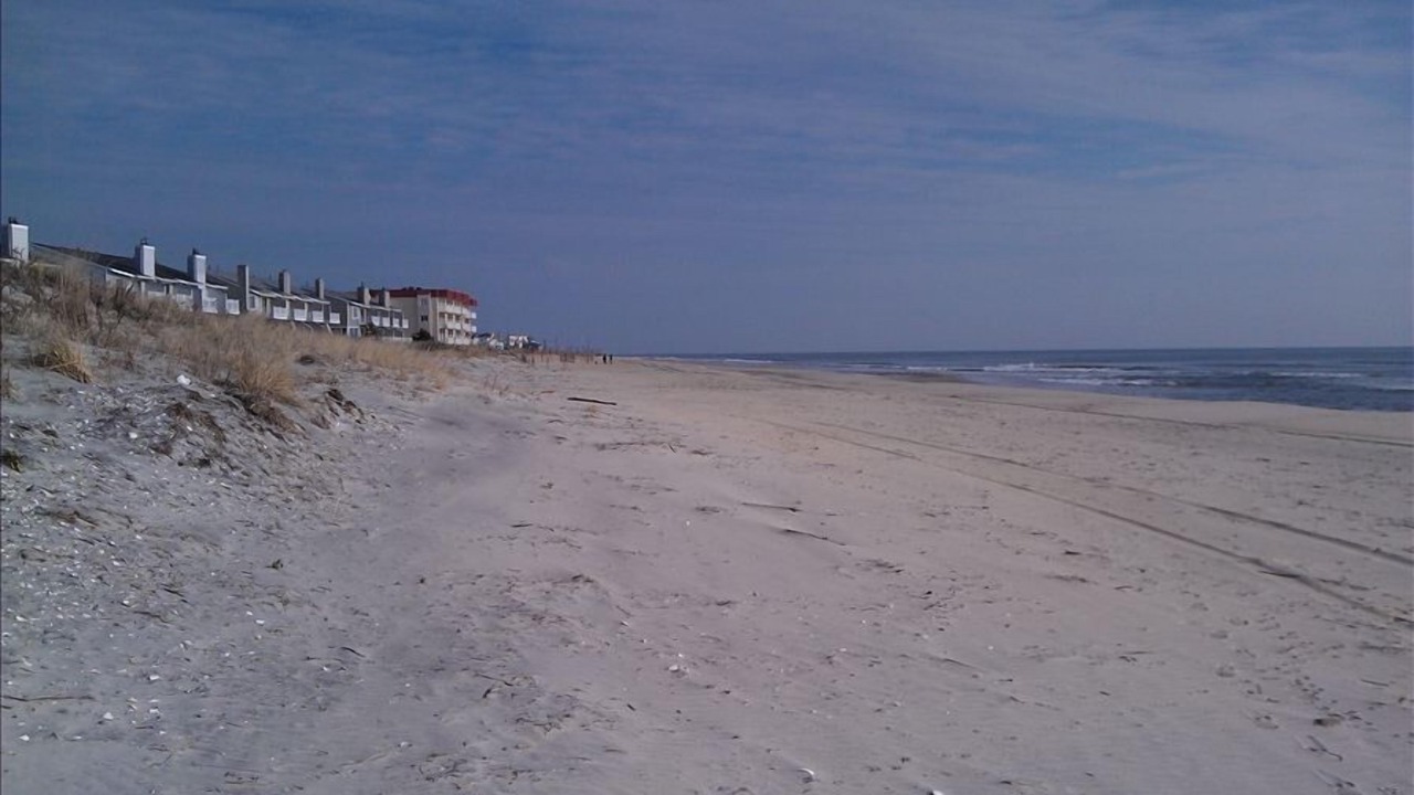 Photo of Others in Brigantine