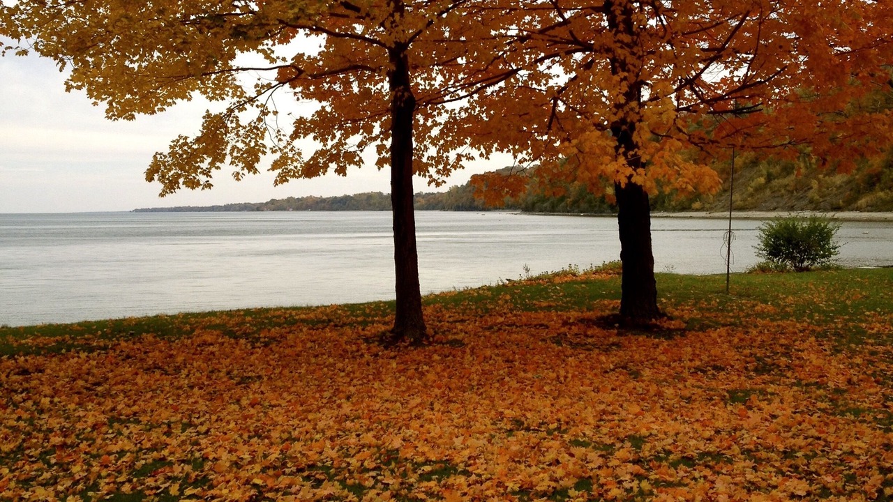 Photo of Outdoor in North East
