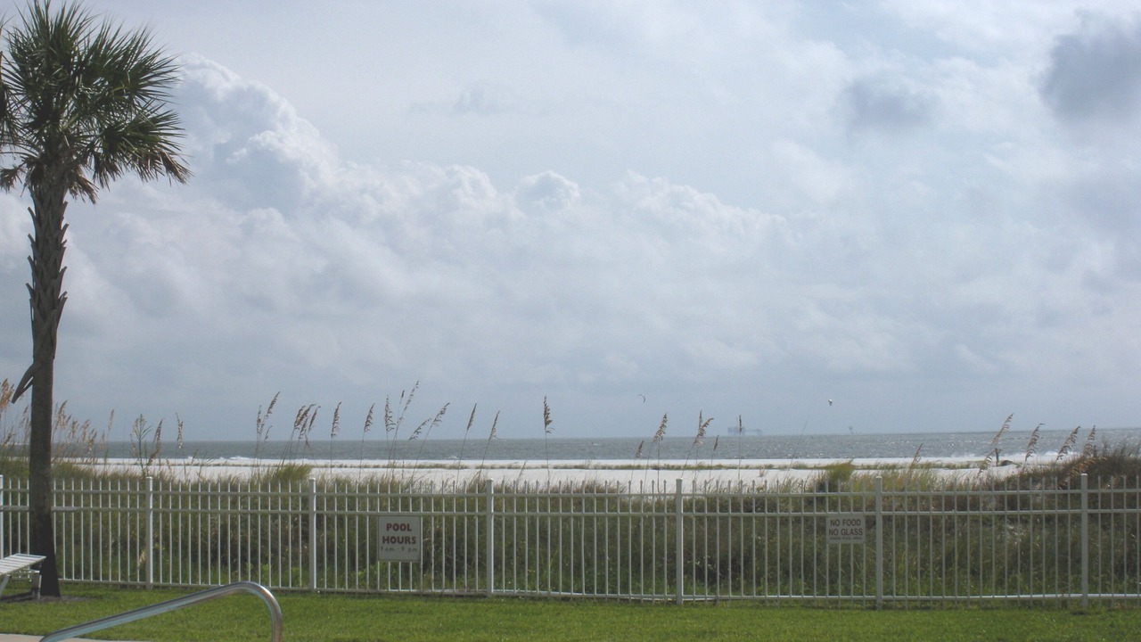 Photo of Outdoor in Dauphin Island
