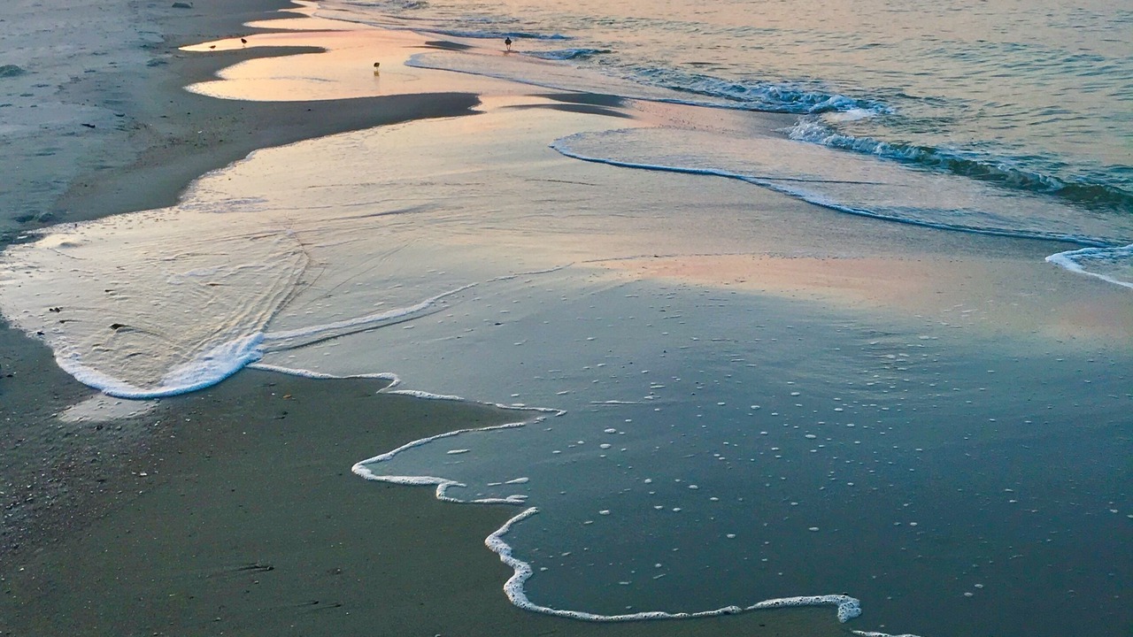 Photo of Others in Dauphin Island
