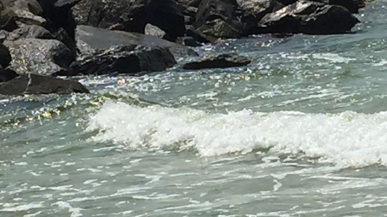 Photo of Others in Orange Beach