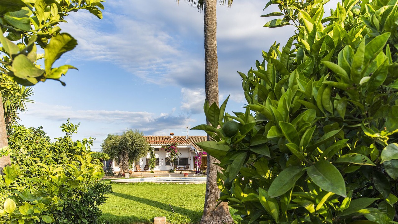 Photo of Outdoor in Alcanar
