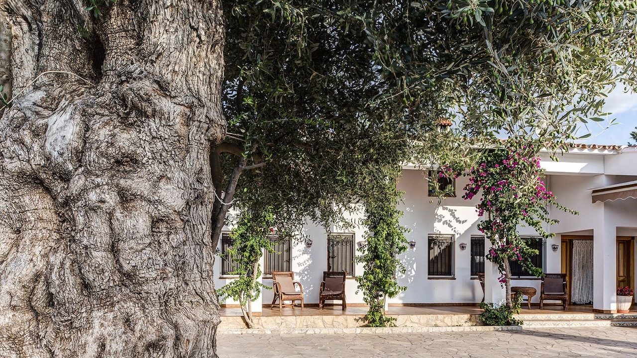 Photo of Outdoor in Alcanar