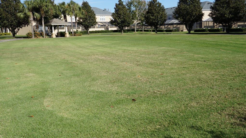 Photo of Others in Windsor Hills