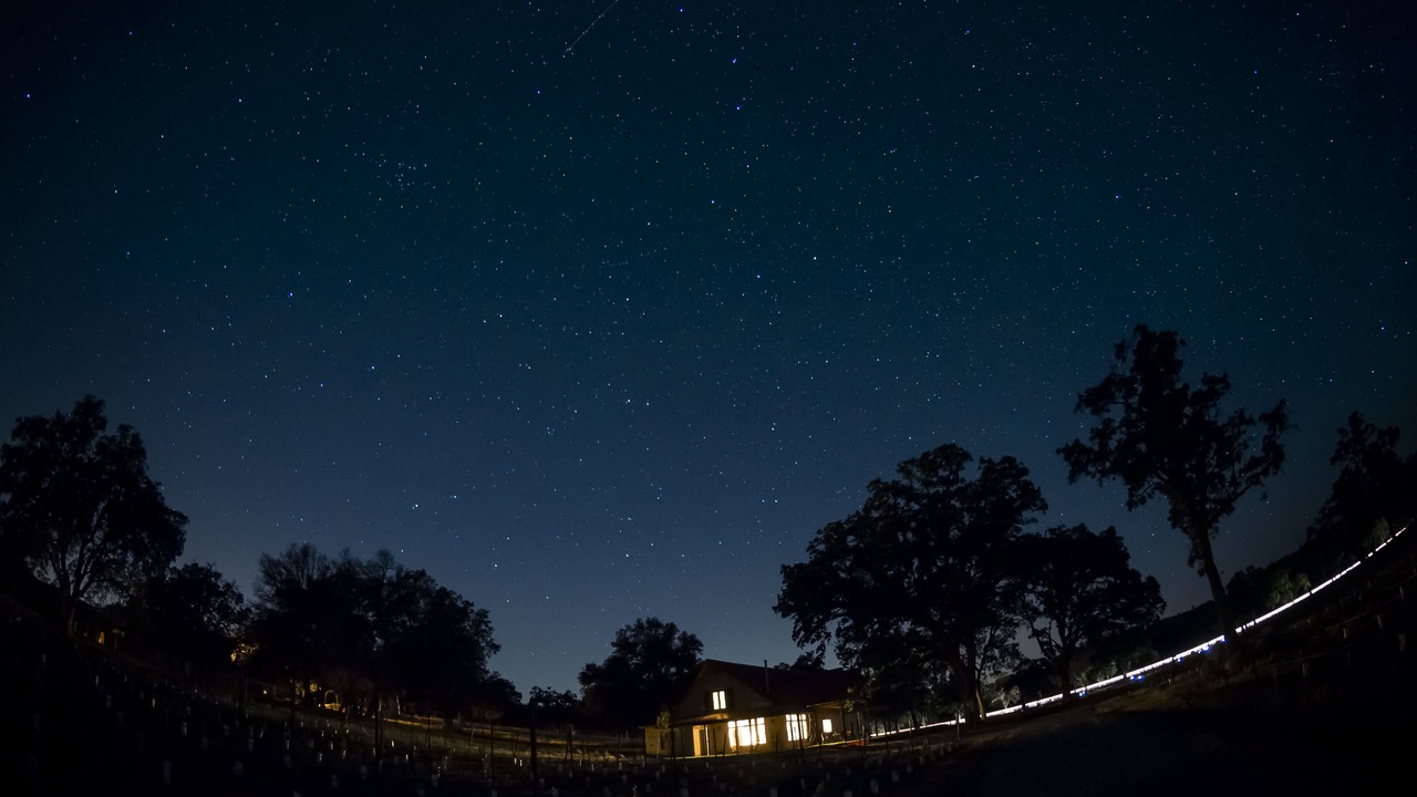 Photo of Outdoor in Angels Camp
