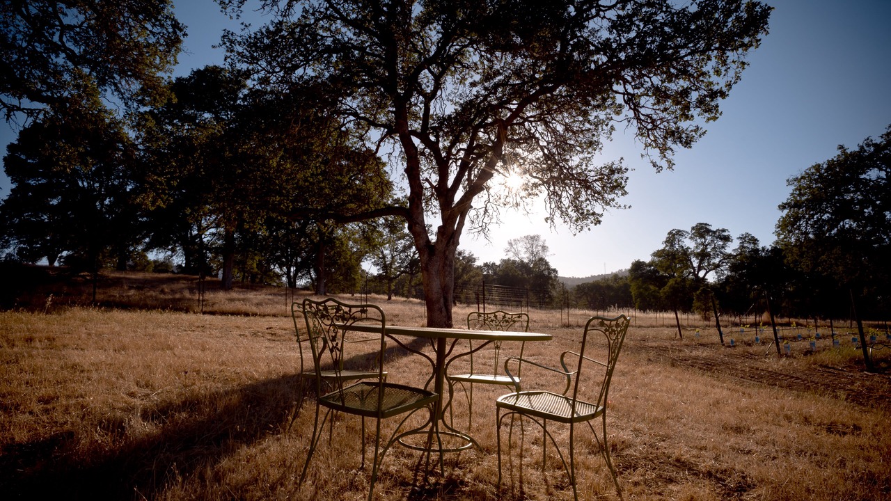 Photo of Outdoor in Angels Camp