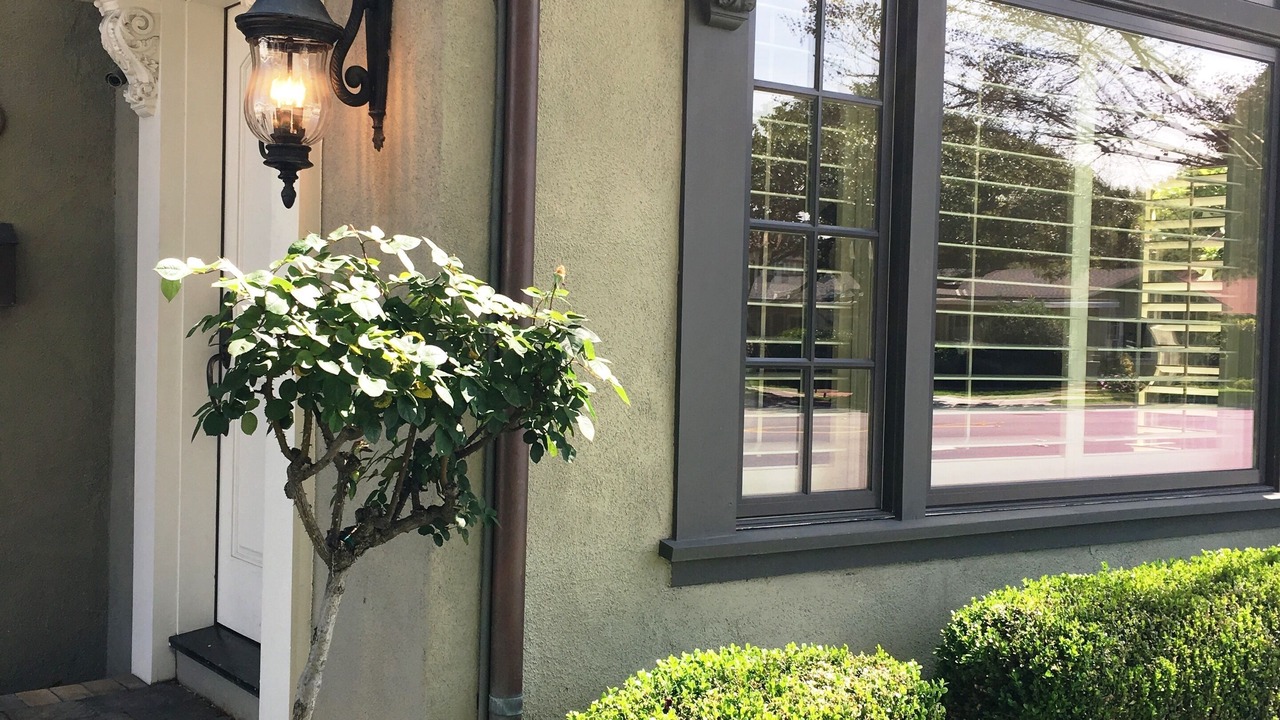 Photo of Others in Willow Glen