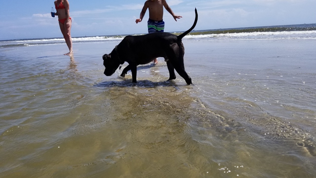 Photo of Others in Oak Island