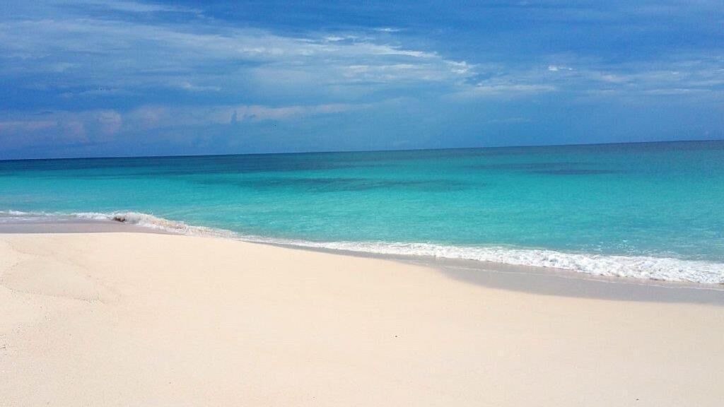 Photo of Others in North Palmetto Point