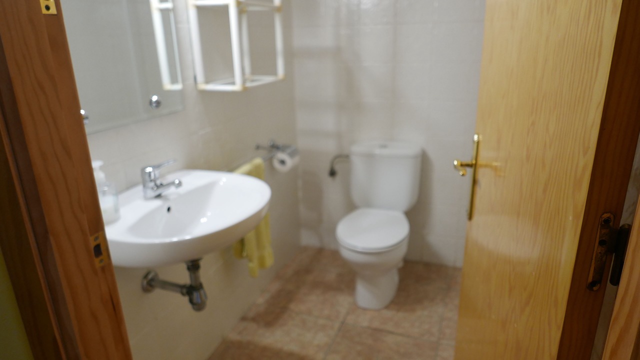 Photo of Bathroom in Mora d'Ebre