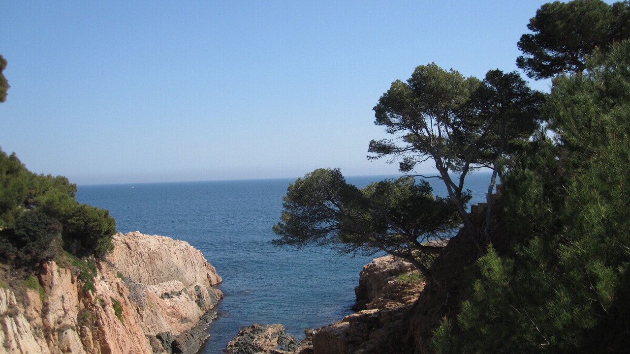 Photo of Others in Aiguablava