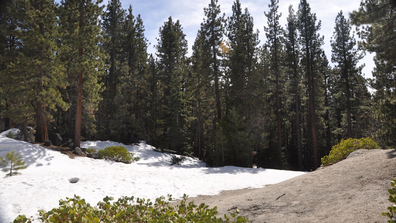 Photo of Others in South Lake Tahoe