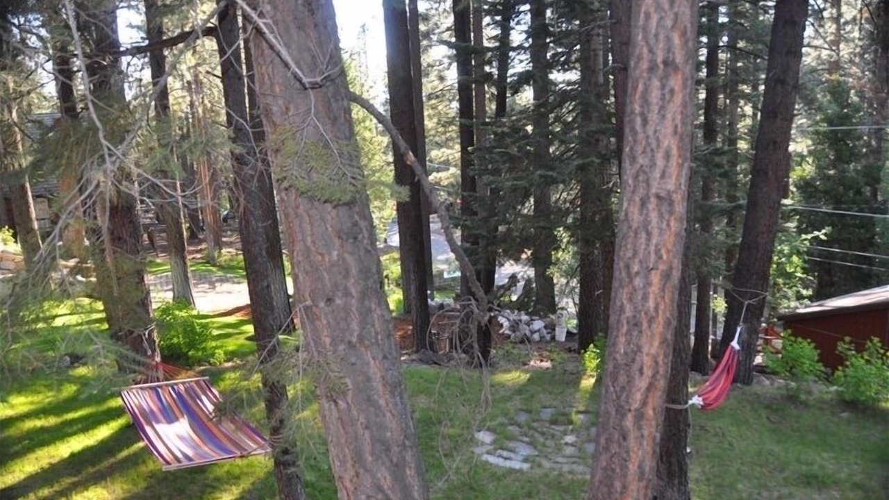 Photo of Others in South Lake Tahoe