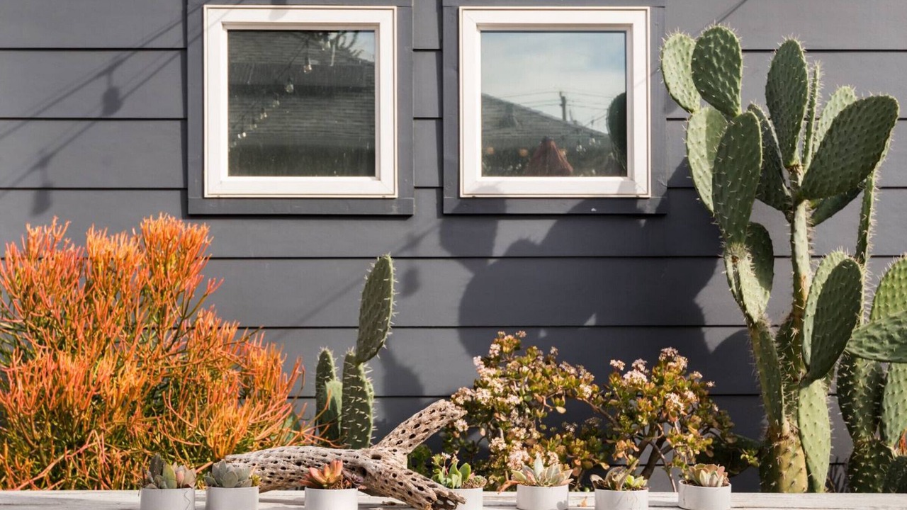 Photo of Outdoor in San Jose