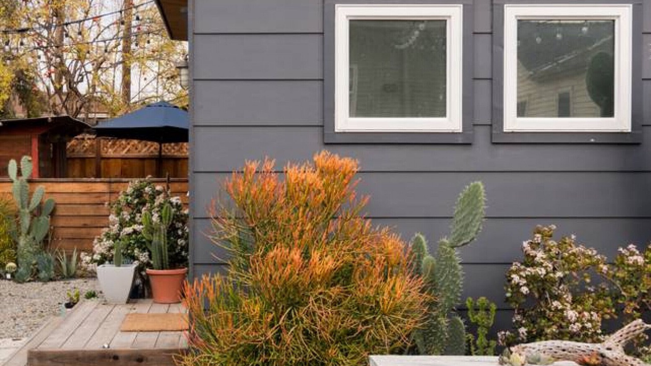 Photo of Outdoor in San Jose