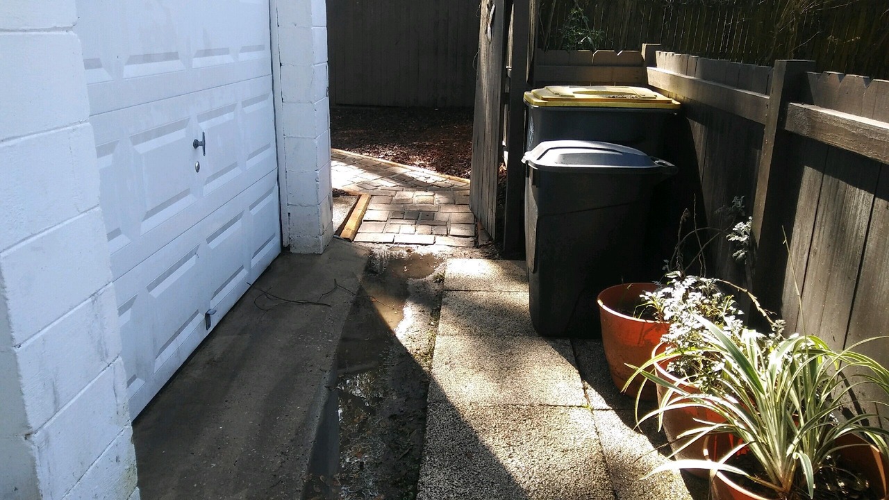 Photo of Others in Avondale