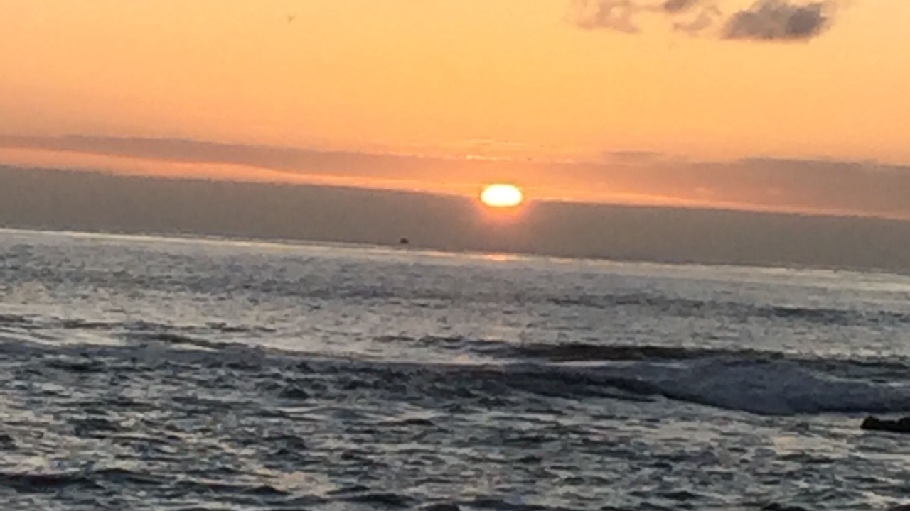 Photo of Others in South Mission Beach