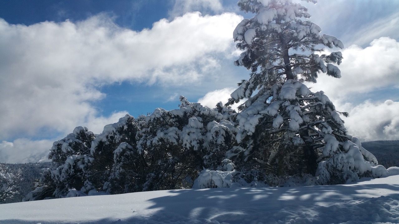 Photo of Others in Cold Springs