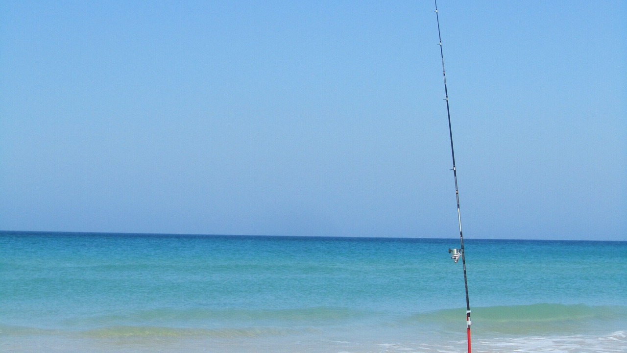 Photo of Others in Zahara de los Atunes