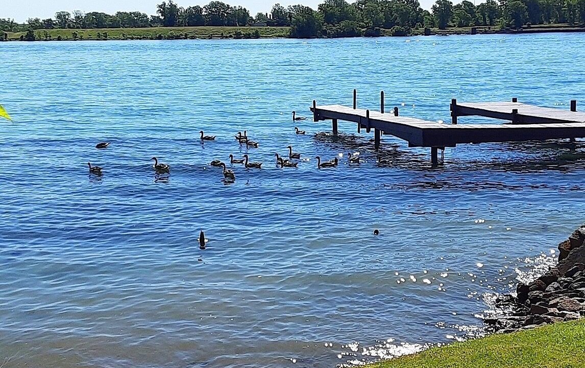 Photo of Others in Grand Island