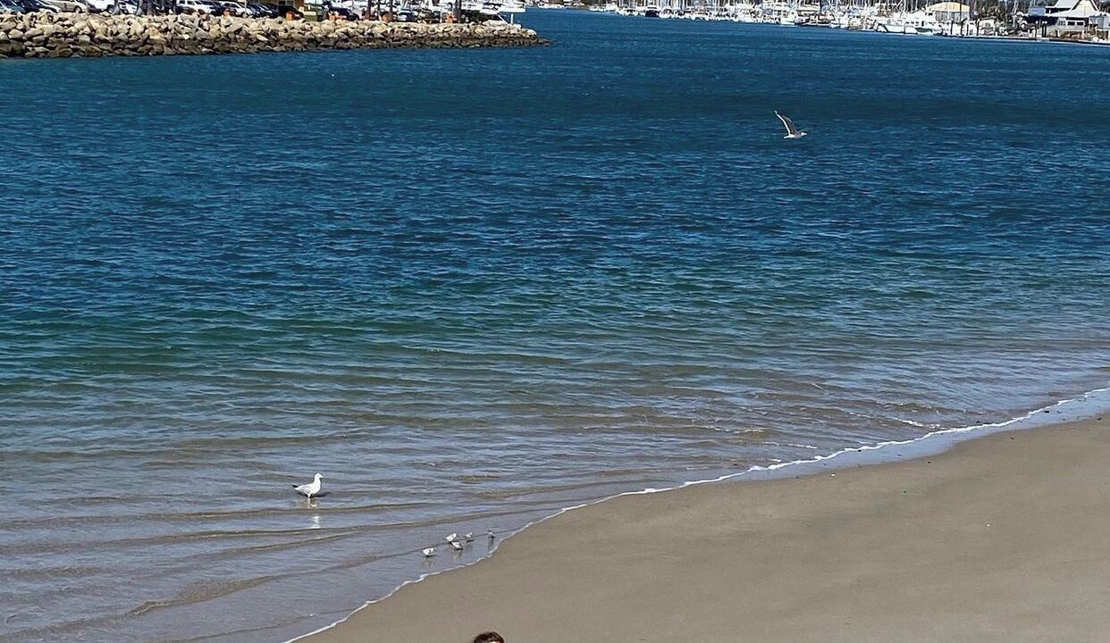 Photo of Others in Silver Strand