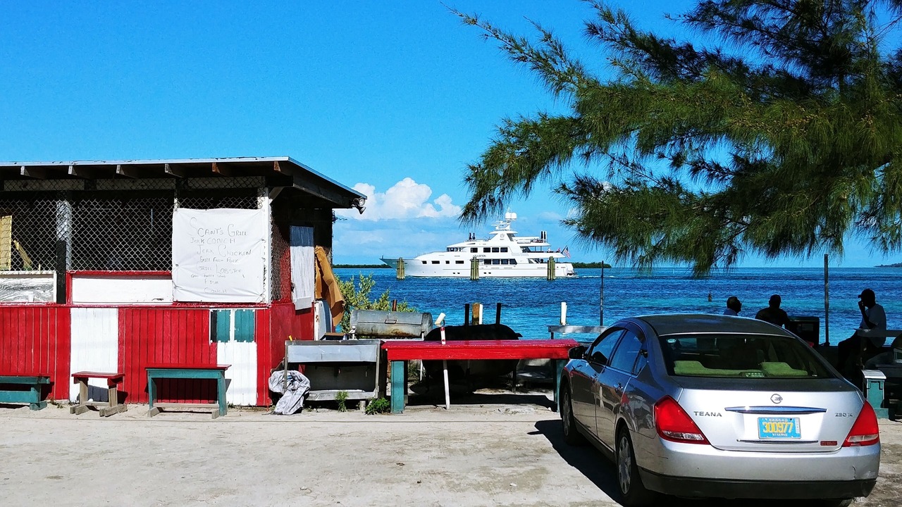 Photo of Others in Alice Town