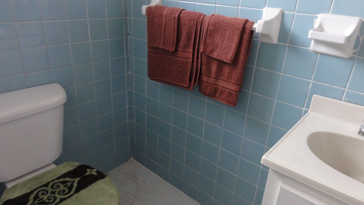 Photo of Bathroom in Alice Town