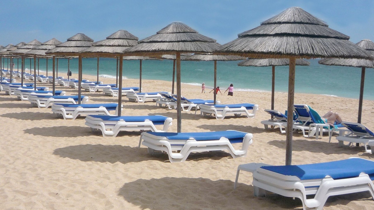Photo of Others in Salgados