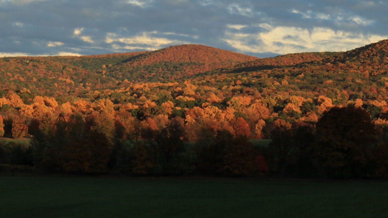 Photo of Others in Mountainville