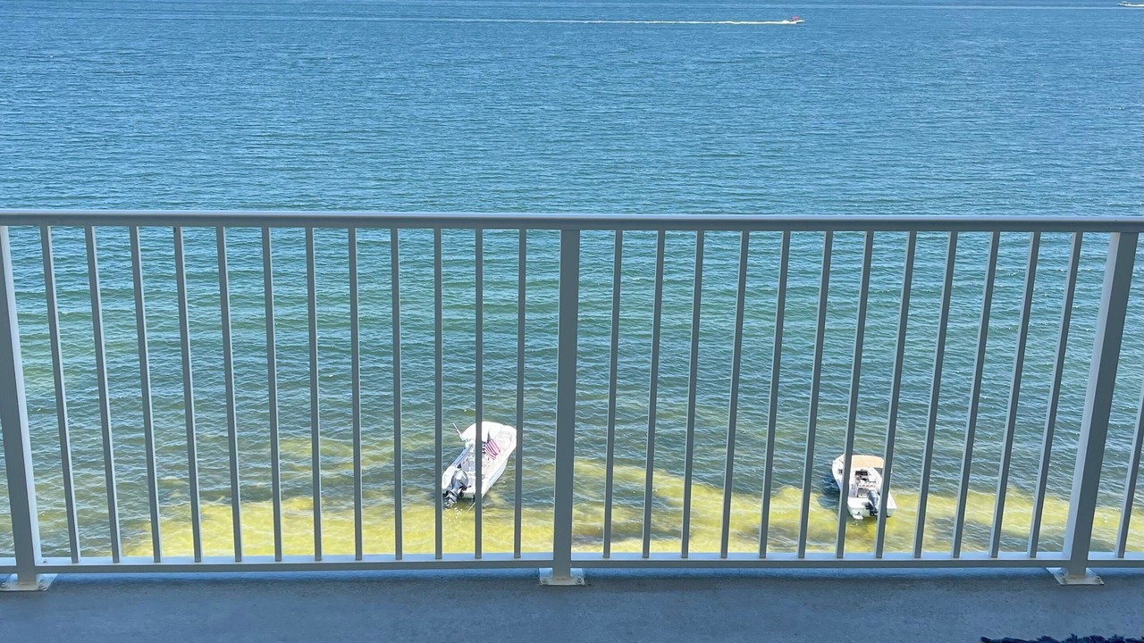 Photo of Outdoor in Ono Island