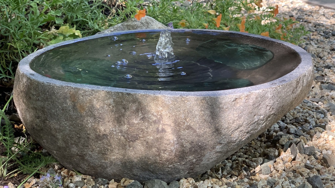 Photo of Outdoor in St. Helena