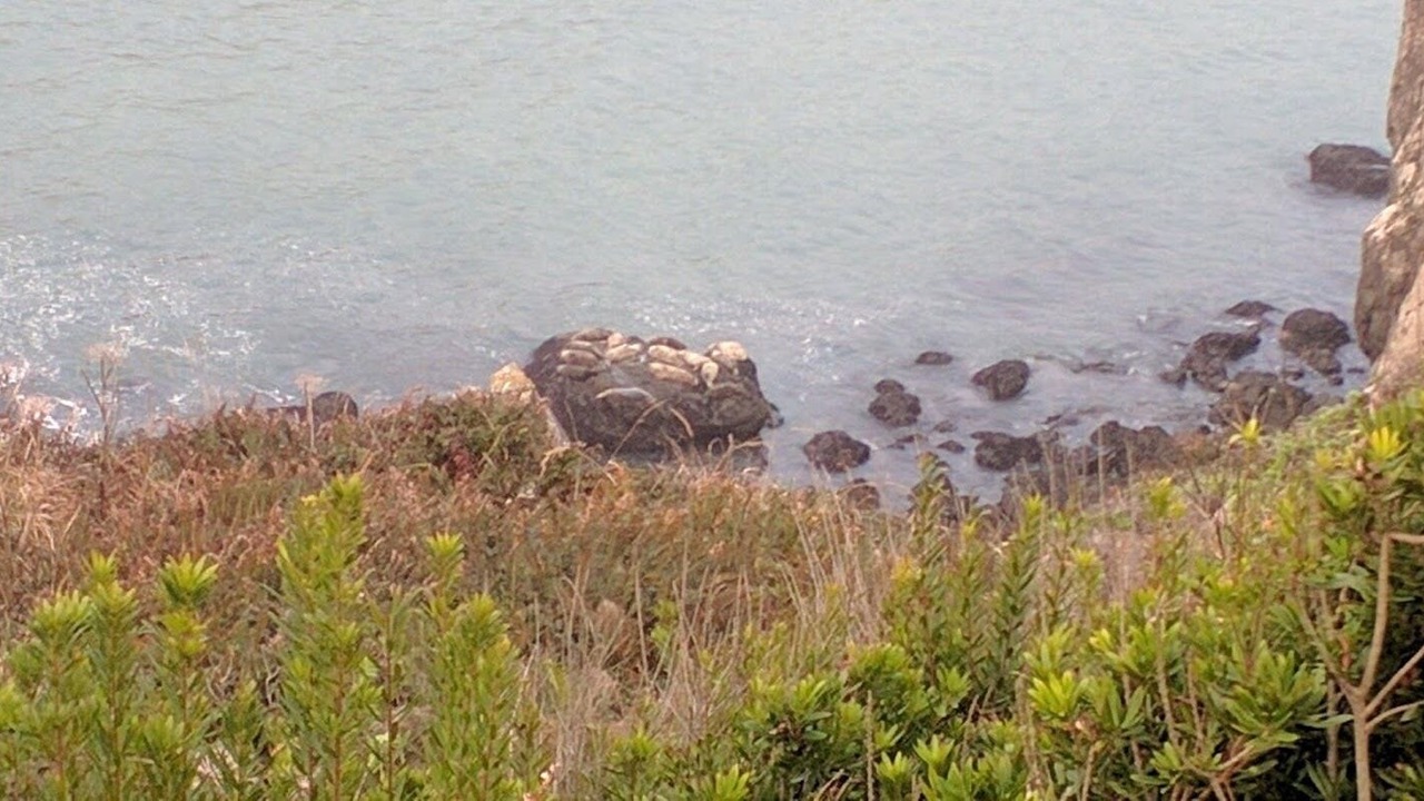Photo of Others in Albion