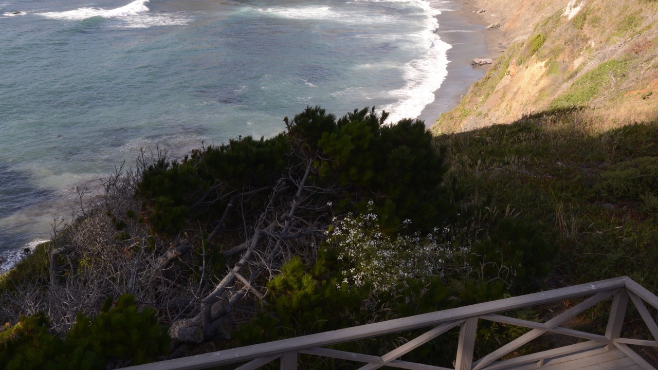 Photo of Outdoor in Little River