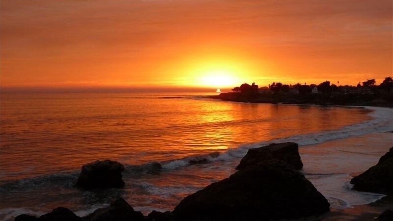 Photo of Others in Westside Santa Cruz