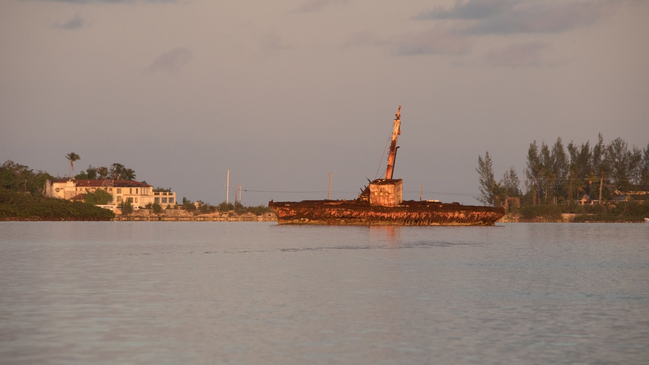 Photo of Others in Andros Town