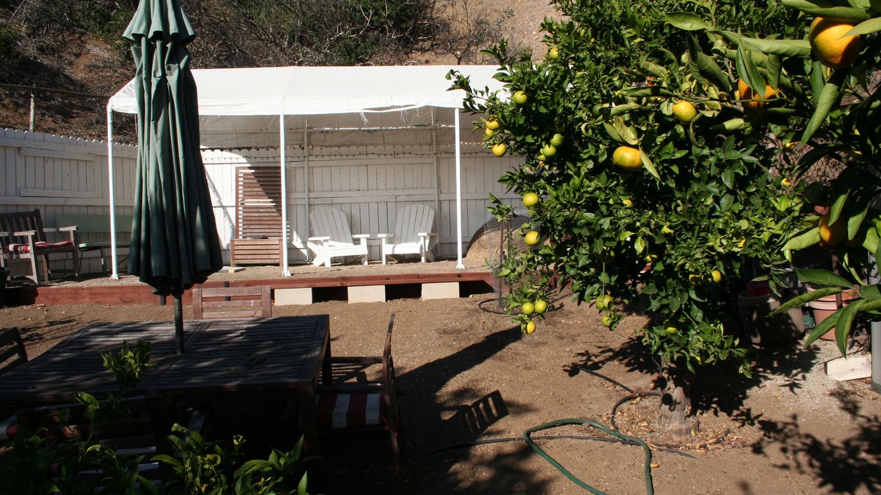 Photo of Others in Western Malibu