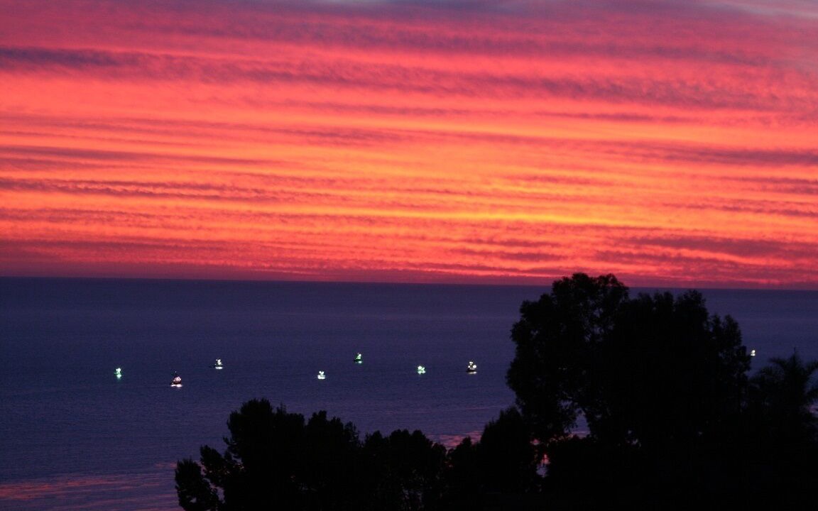 Photo of Others in Western Malibu
