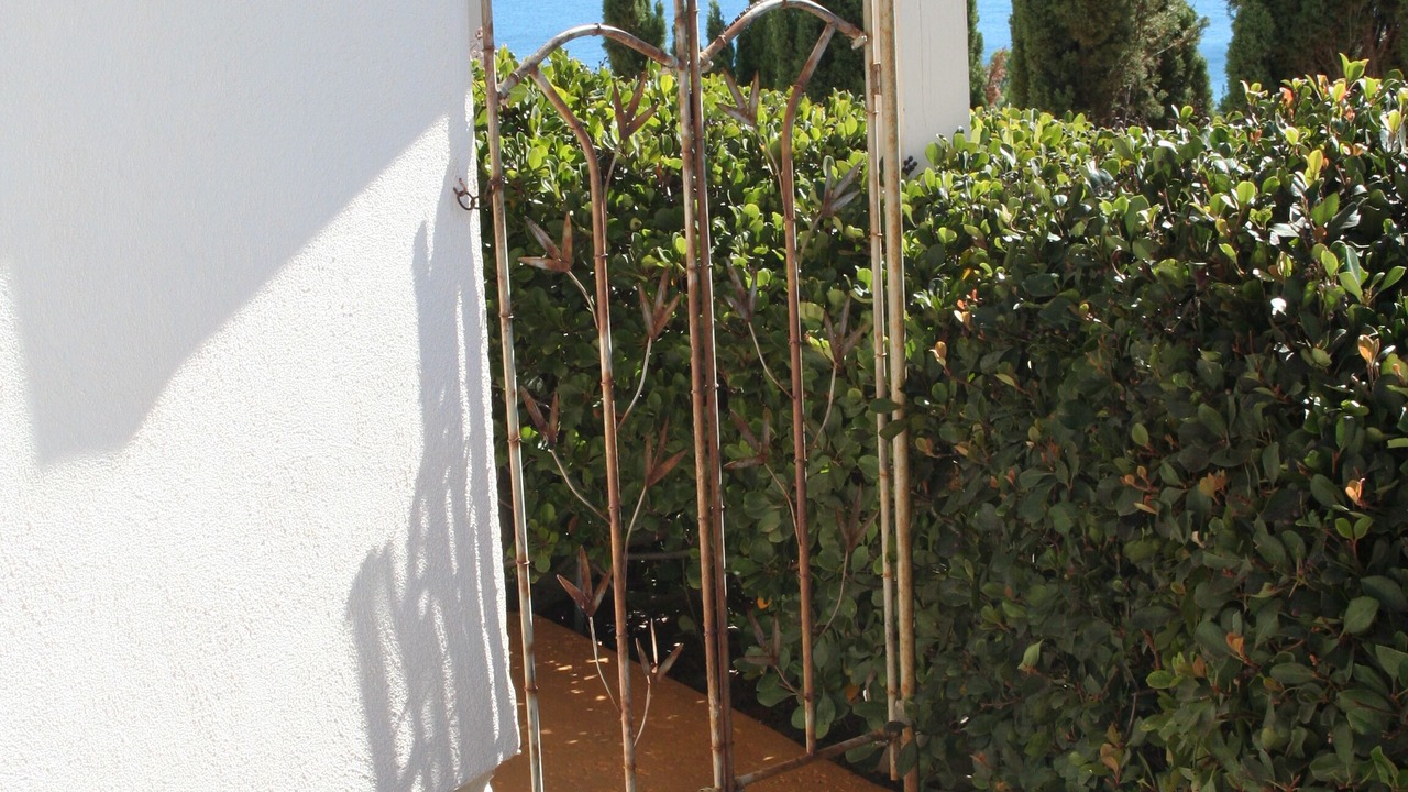 Photo of Others in Western Malibu
